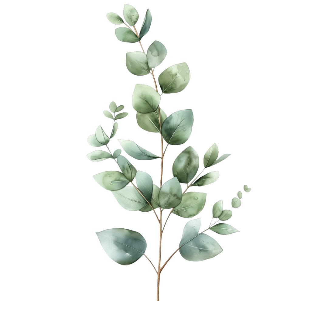 Eucalyptus Branch